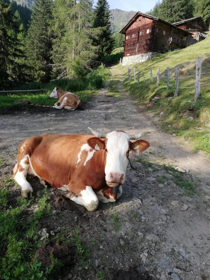 Walcheggerhof Farm stay Innervillgraten