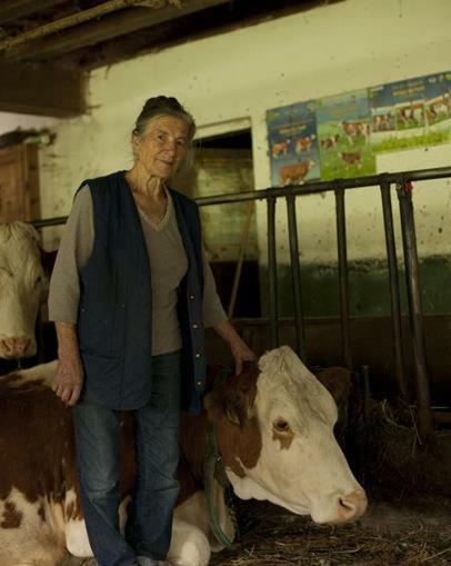 Walcheggerhof Farm stay *