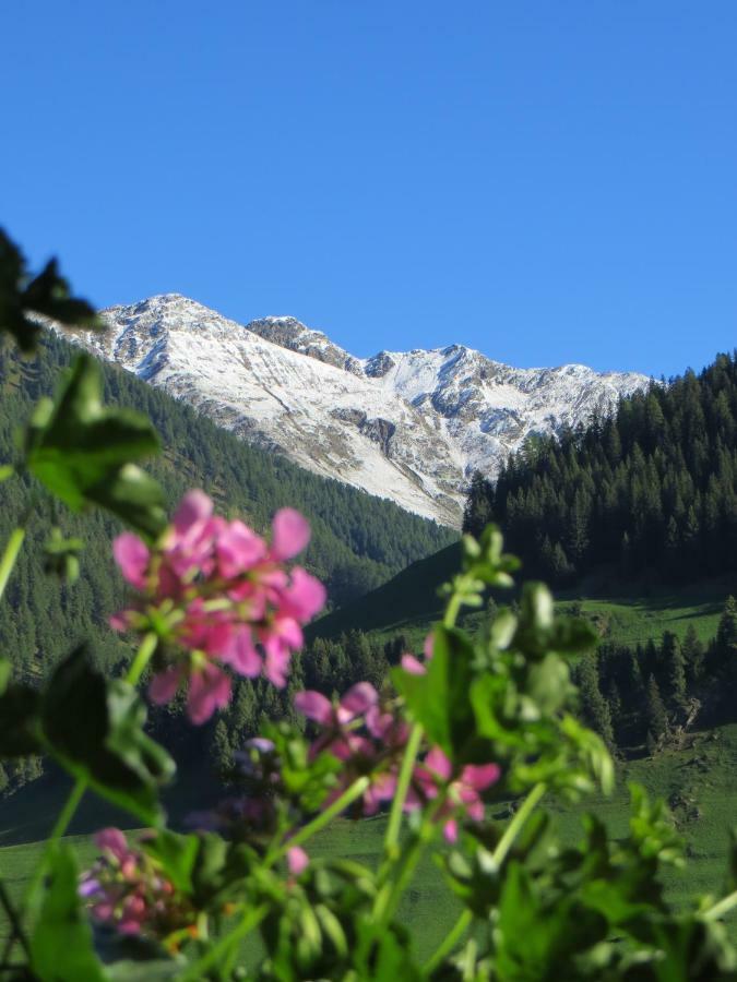 Walcheggerhof Farm stay *